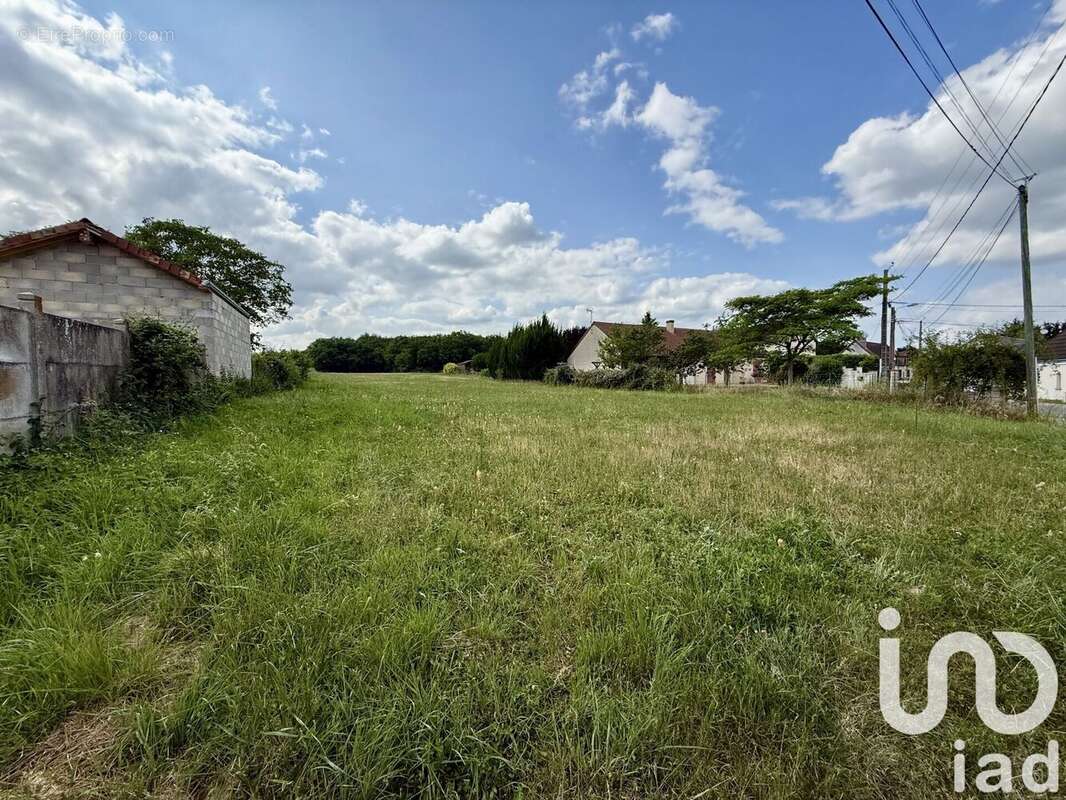 Photo 2 - Terrain à PRESSIGNY-LES-PINS