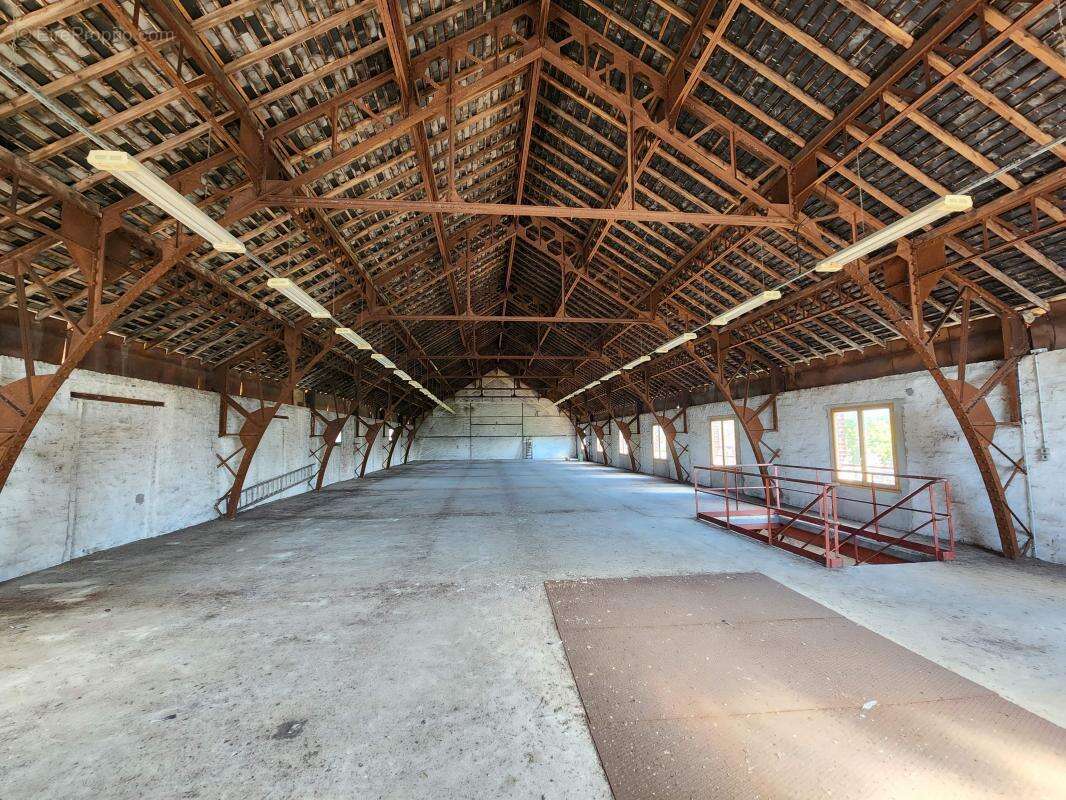 Commerce à CORMENON