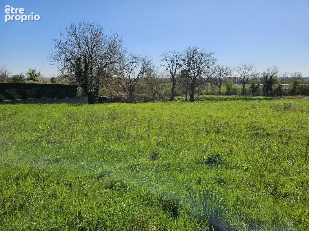 Allerey sur Saône Terrain à Bâtir - photo 6