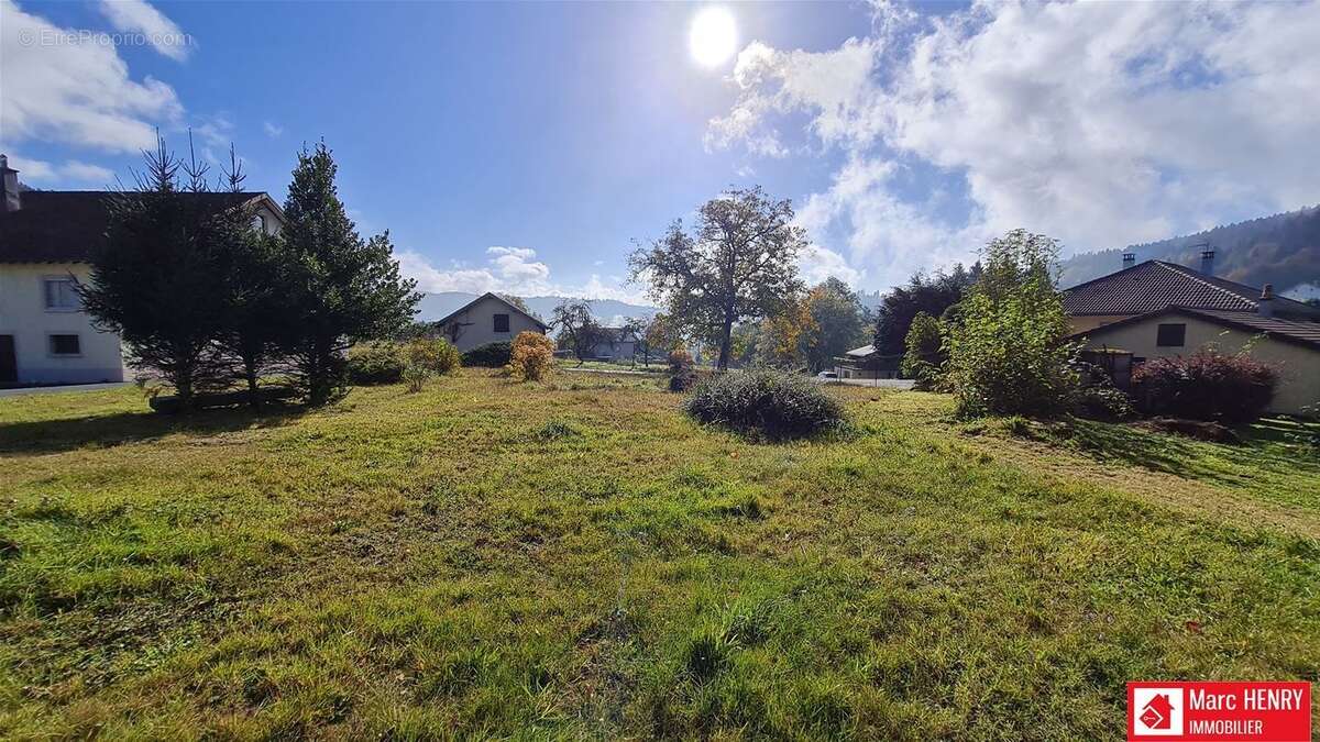 Terrain 925 m² à Le Tholy  - photo 4