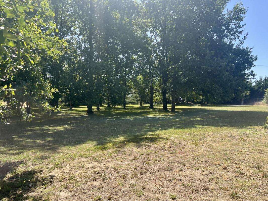 Terrain 3420 m² à Montauban  - photo 4