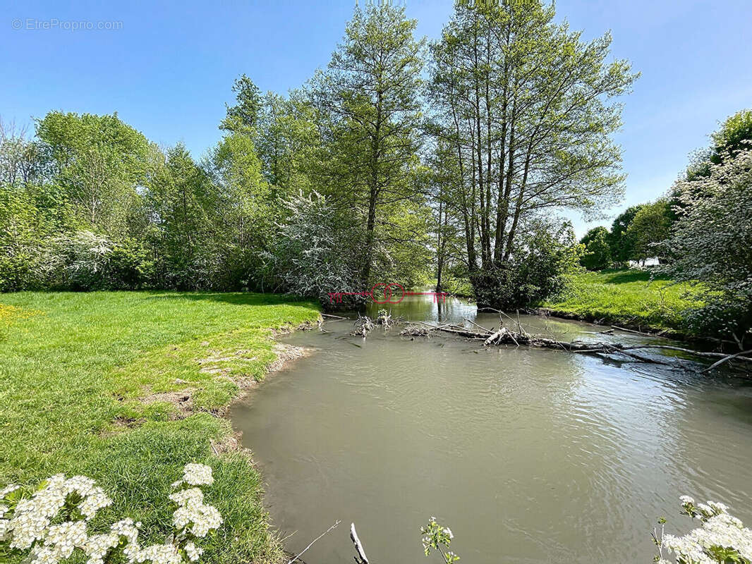 Terrain à SAULT-SAINT-REMY