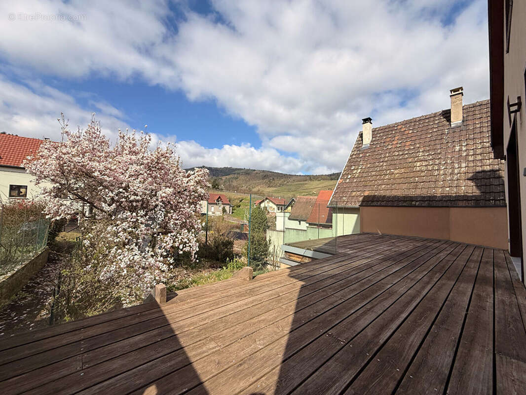 Maison à NIEDERMORSCHWIHR