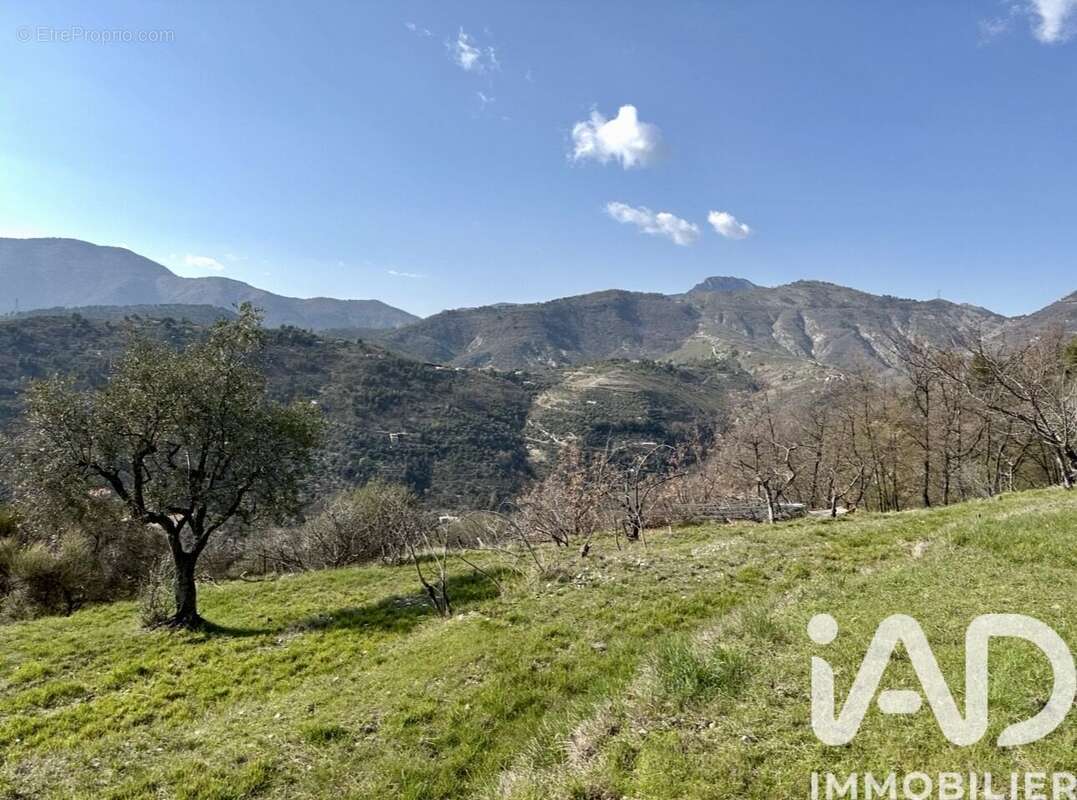 Photo 4 - Maison à LUCERAM