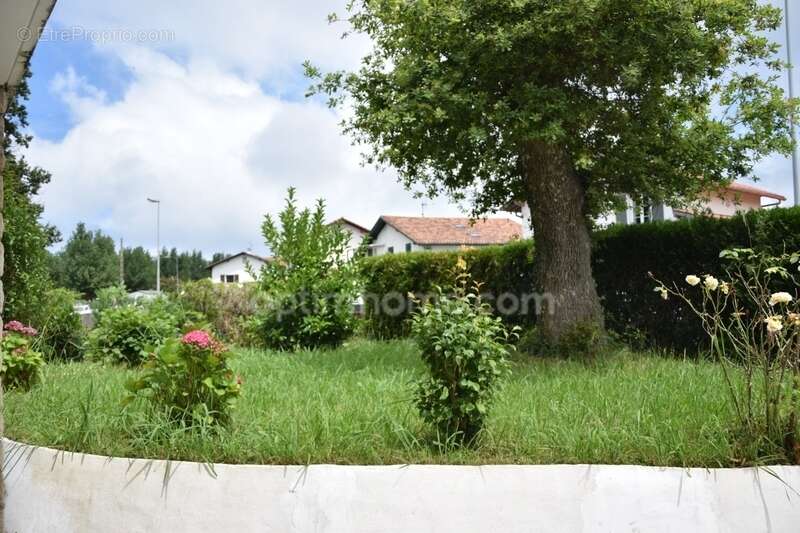 HENDAYE – Maison familiale avec 2 appartements indépendants – 224 m² – Garage 40 m² - photo 11