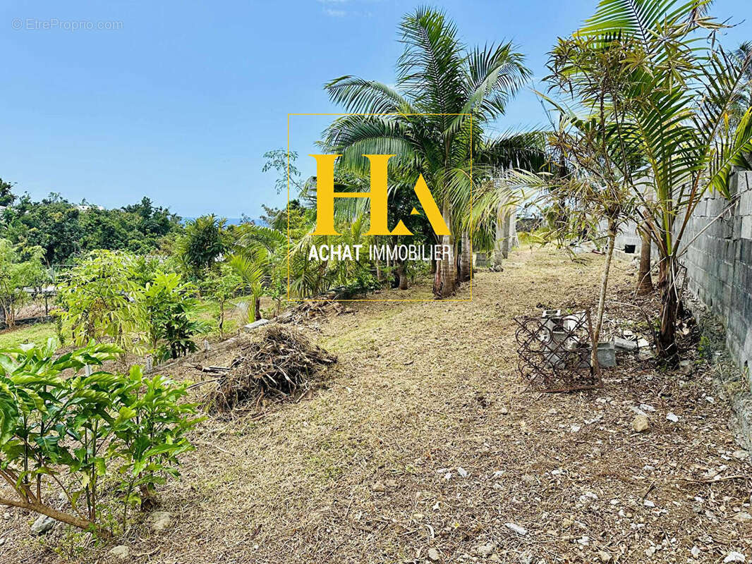 Terrain à SAINT-BENOIT