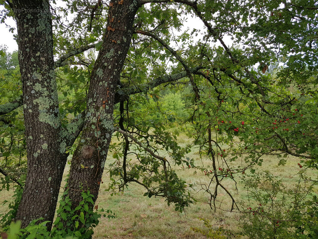 Terrain à VEZENOBRES