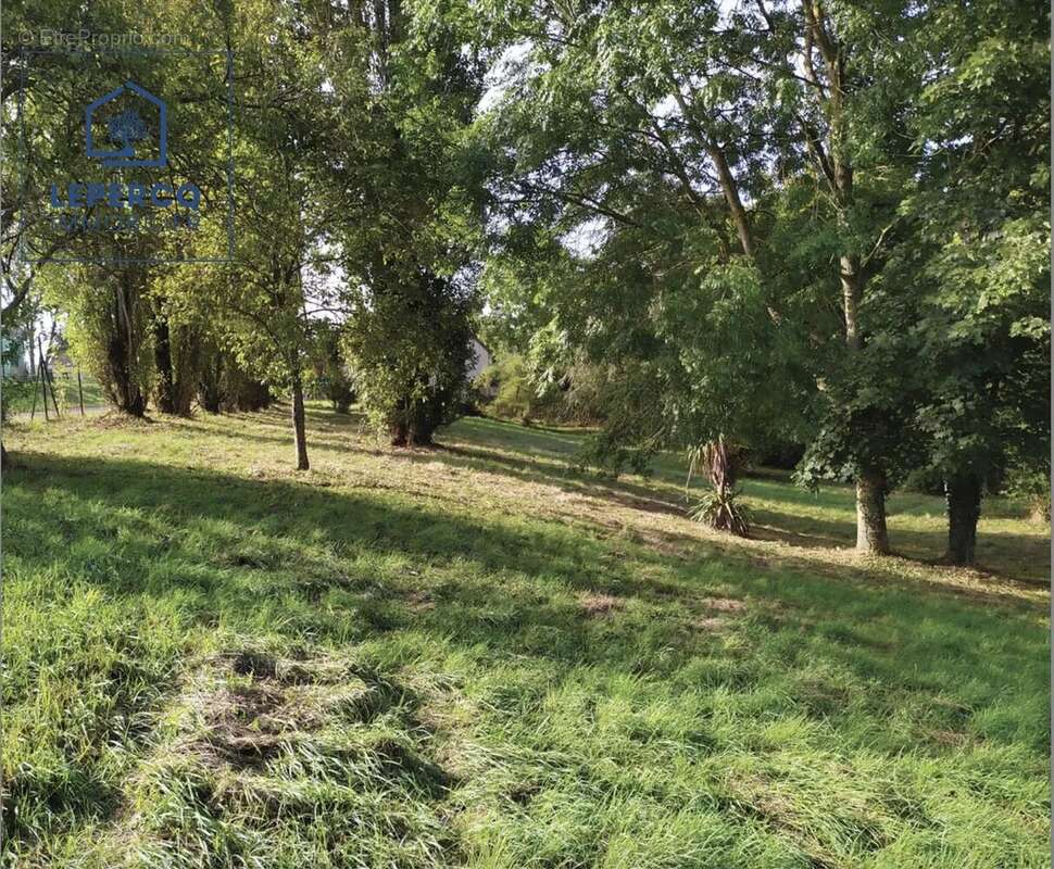 Terrain à VILLERS-COTTERETS