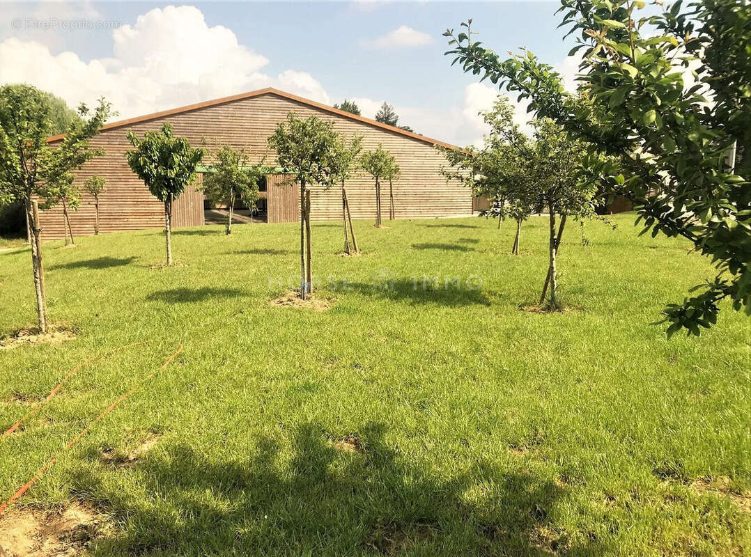 Maison 470 m² à Meaux  - photo 6