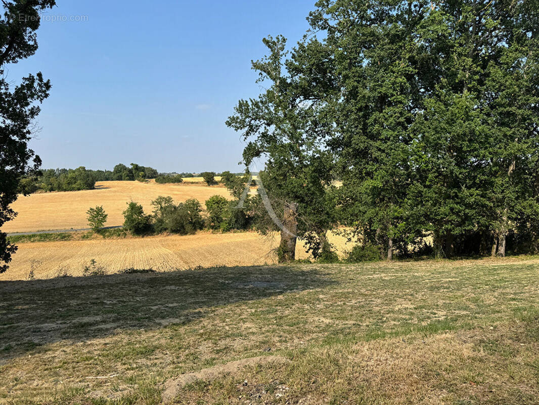 Terrain à L'ISLE-JOURDAIN