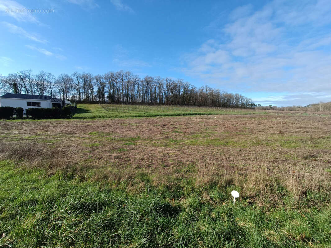 Terrain à SAINT-MAIGRIN