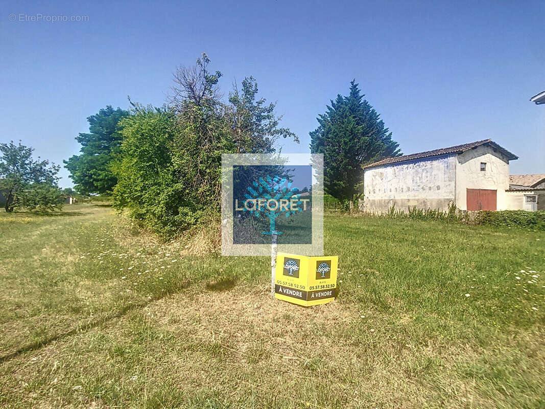Terrain à SAINT-CIERS-SUR-GIRONDE