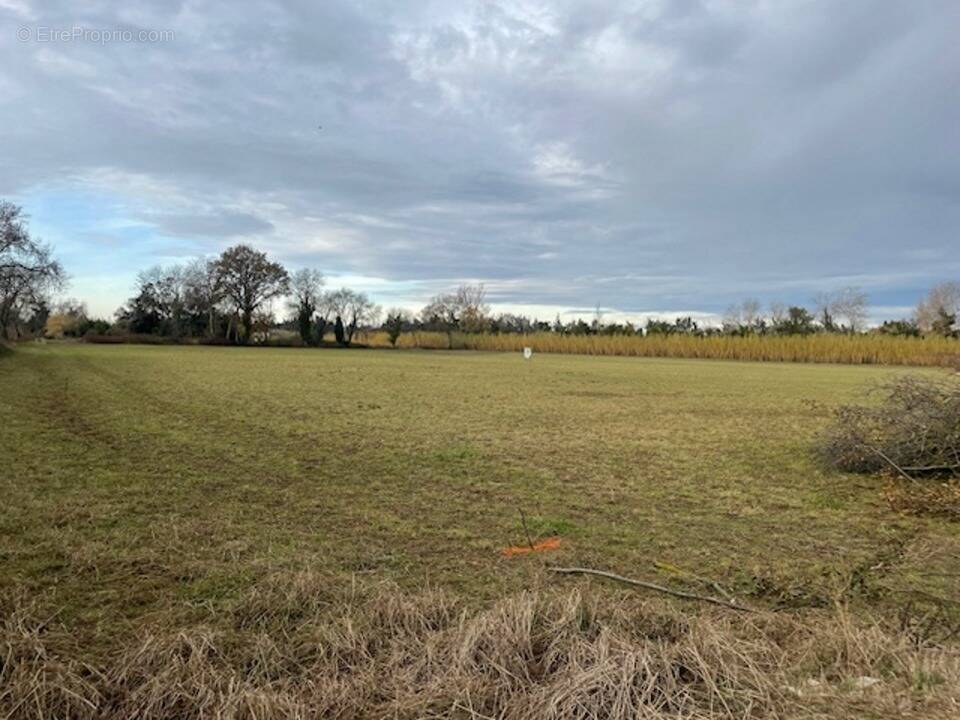 Terrain à SAINT-MARTIN-DE-CRAU