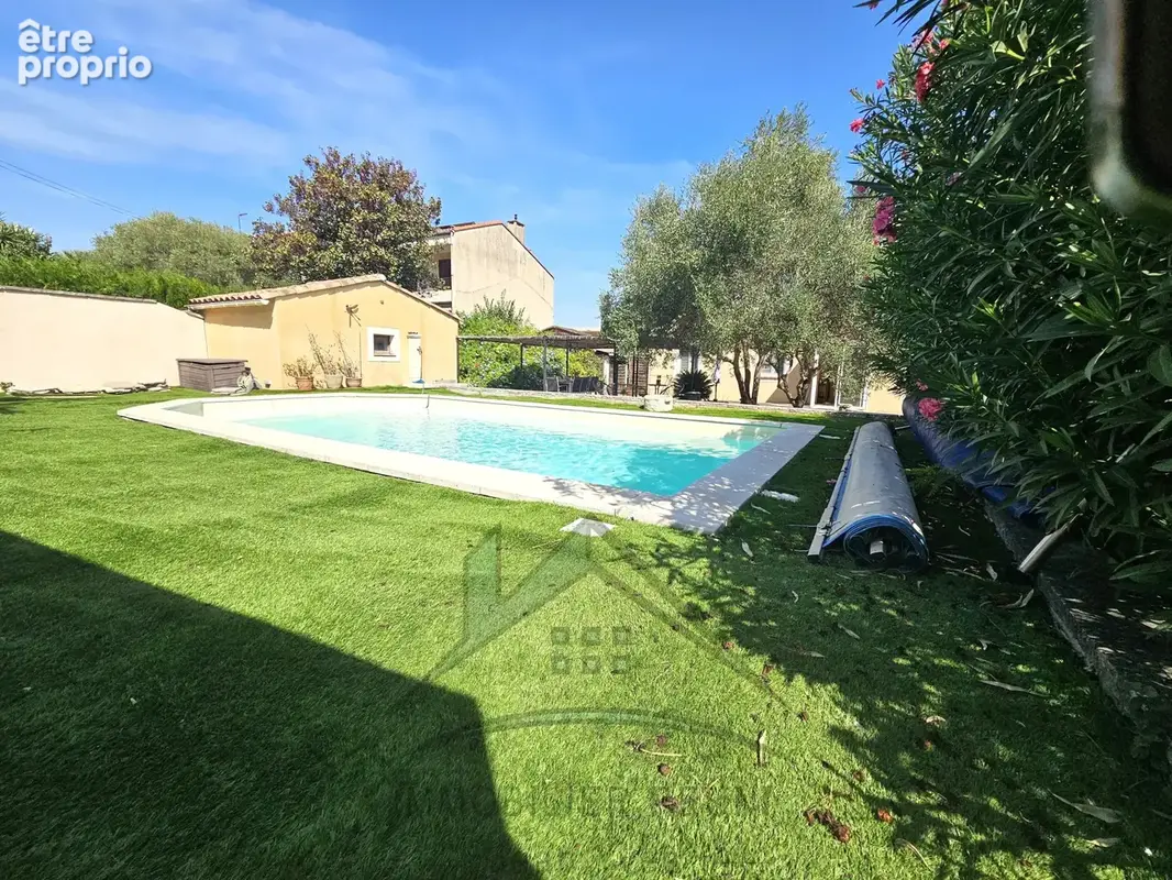 Martigues   jonquières centre-ville - photo 6