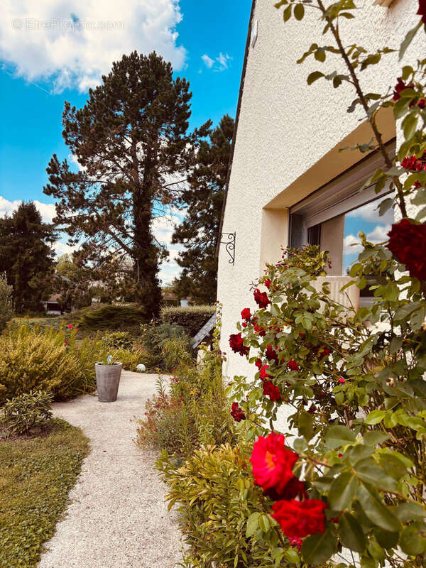Maison à FISMES