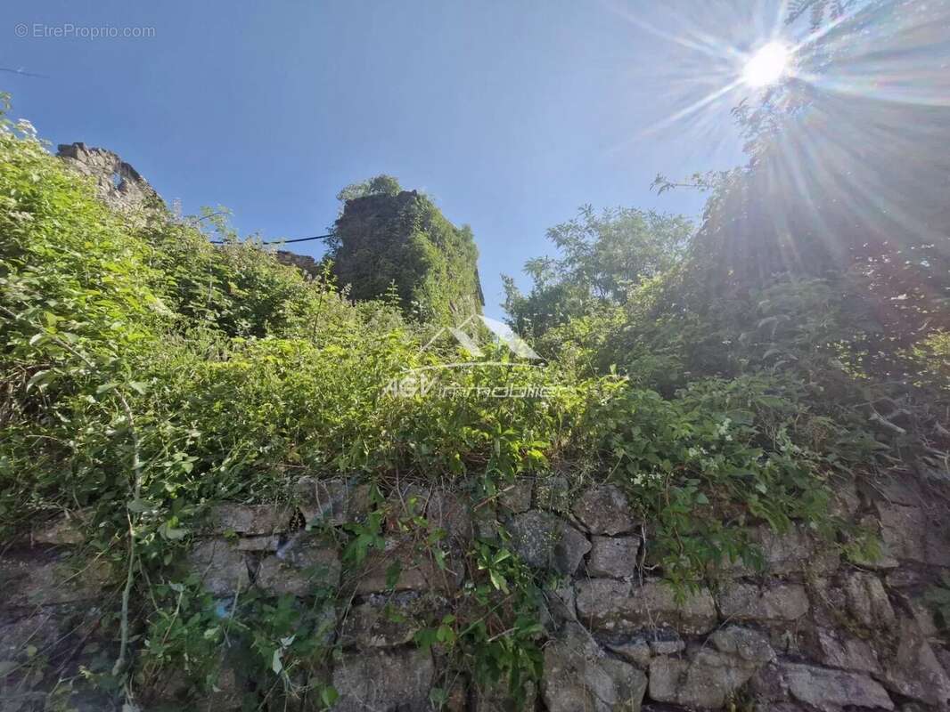 Terrain à SAINT-FLORENT-SUR-AUZONNET