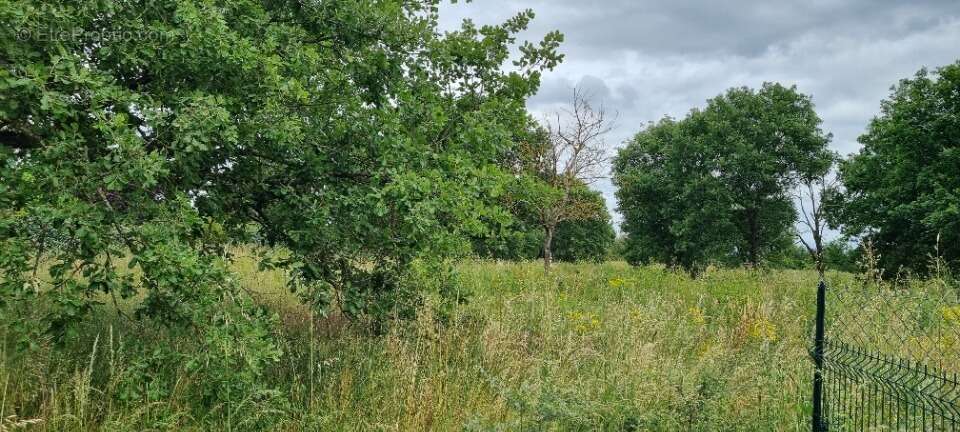 Terrain à FROUZINS