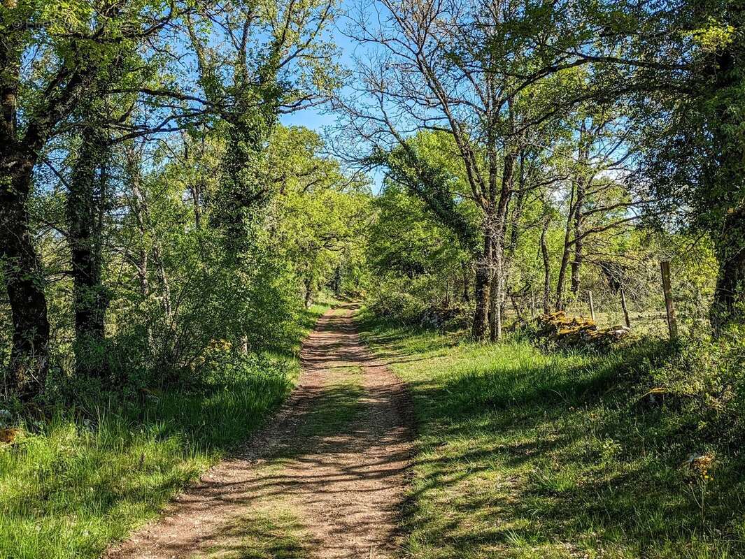 Commerce à ROCAMADOUR