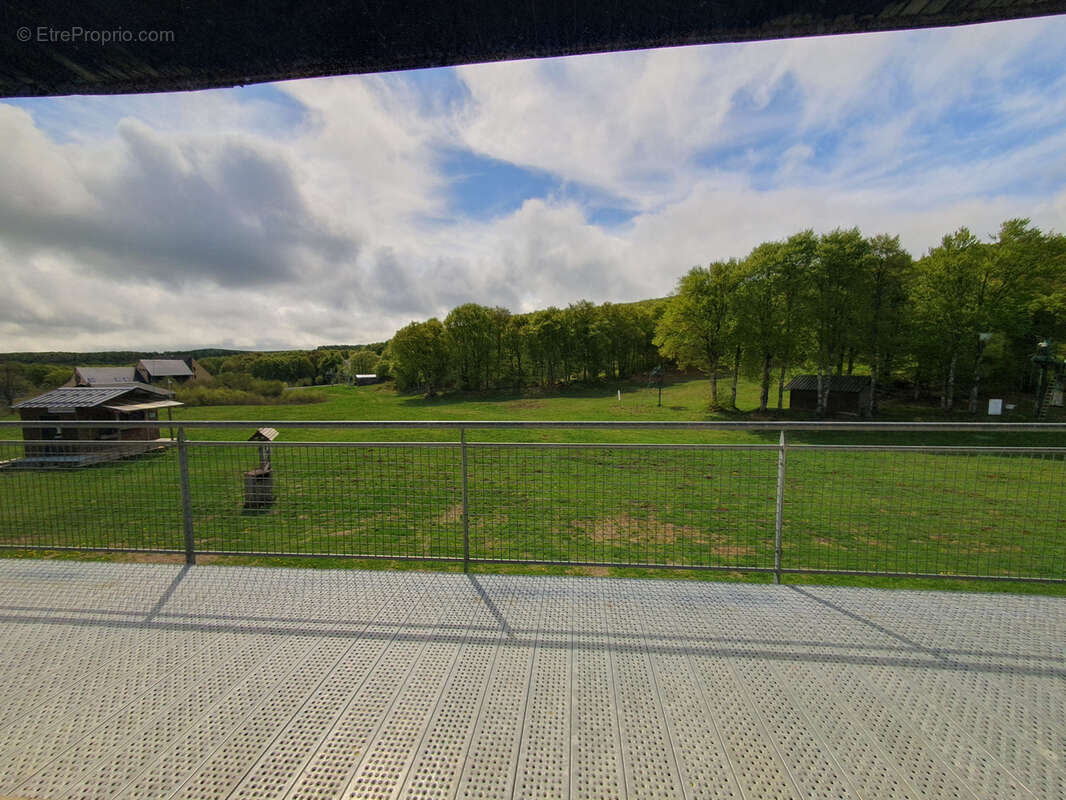 Commerce à LAGUIOLE