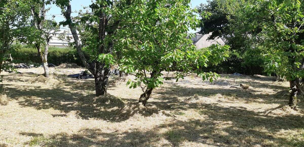 Terrain à SAINT-JULIEN-DE-VOUVANTES