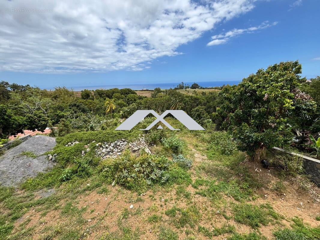 Terrain à SAINTE-MARIE