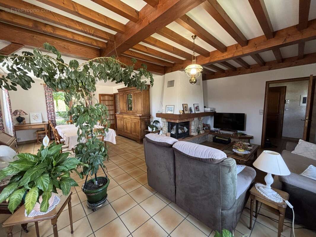 Maison 161 m² à Genissieux  - photo 2