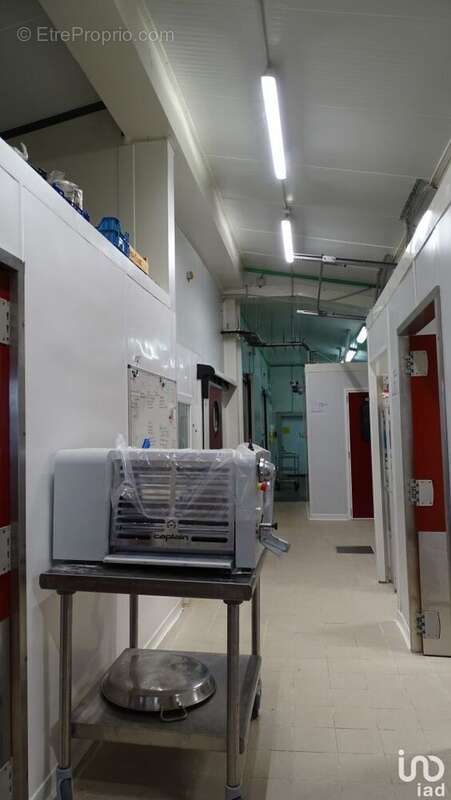 Photo 8 - Commerce à PUYLAURENS