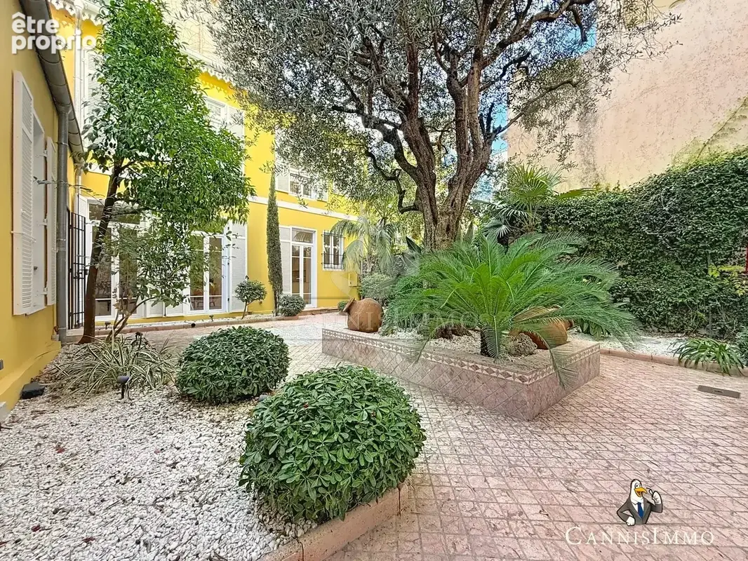 Cannes banane rue d'antibes - maison de ville 4 pièces - 131m2 - photo 16