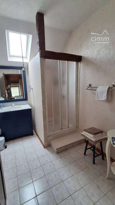 A VENDRE, Vineuil, propriété de charme avec chambres d'hôtes, gites et piscine - photo 15