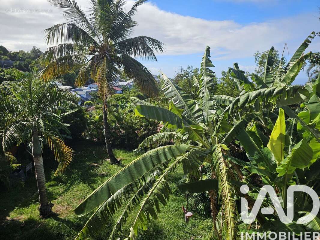 Photo 3 - Maison à LES AVIRONS