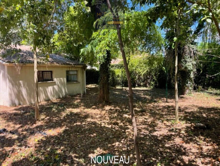 Maison à SAINT-ANDRE-DE-SANGONIS