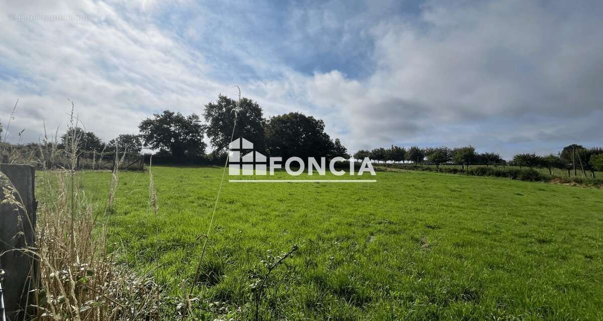 Maison en pierres avec terrain de près de 2,5 hectares - photo 7