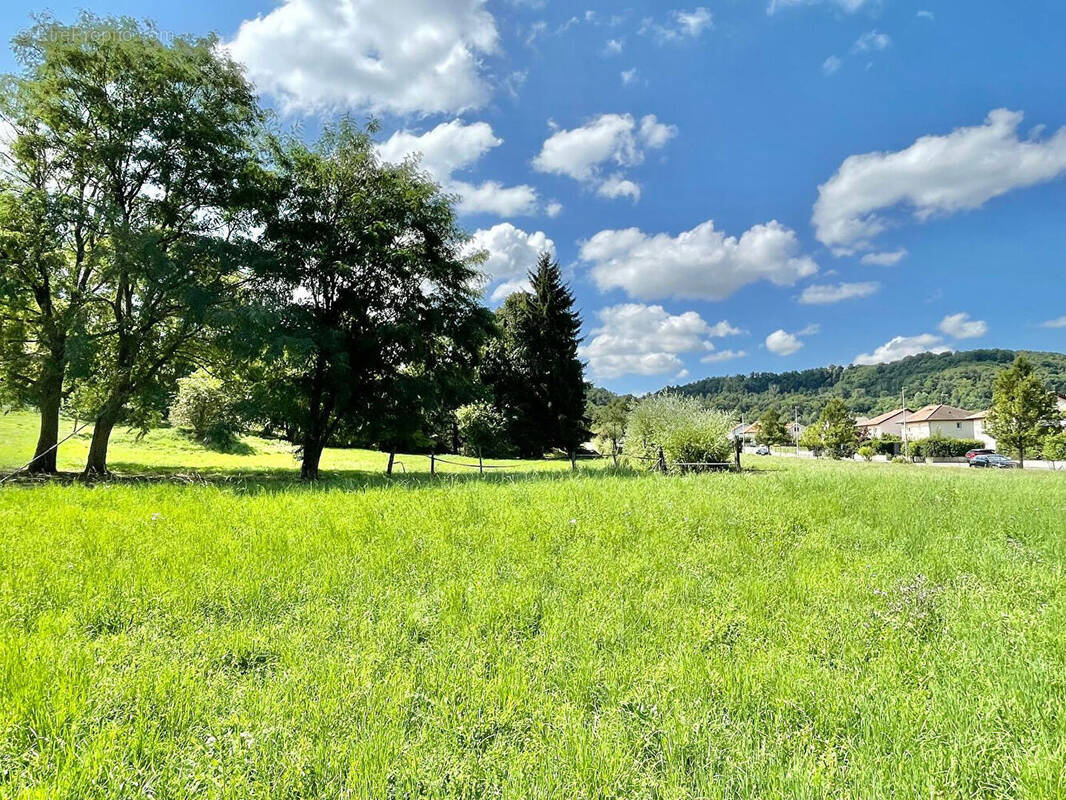 Terrain à NIVOLAS-VERMELLE