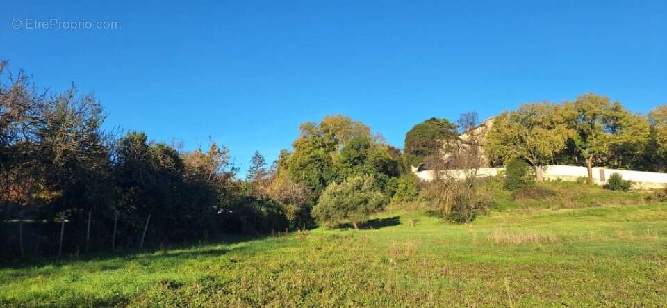 Terrain 425 m² à Sauzet  - photo 2
