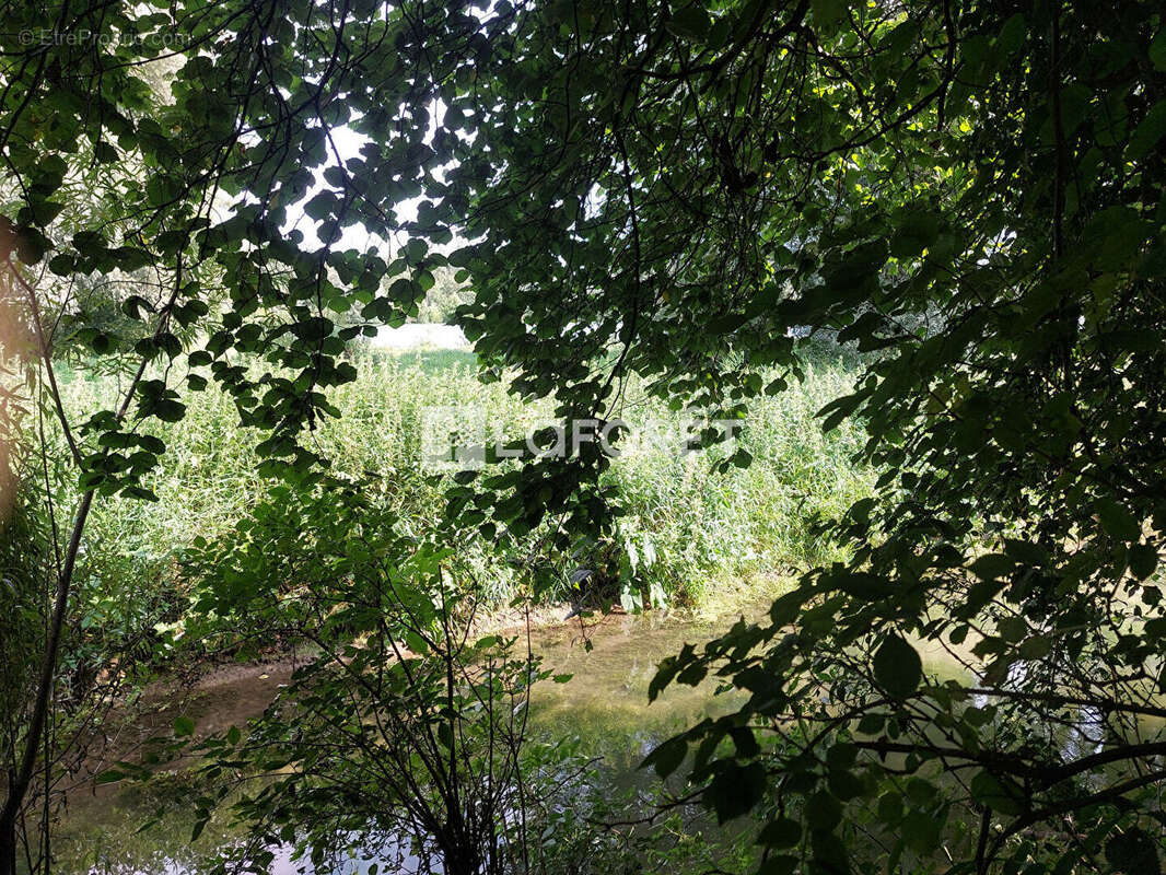 Maison à DOMPIERRE-SUR-AUTHIE