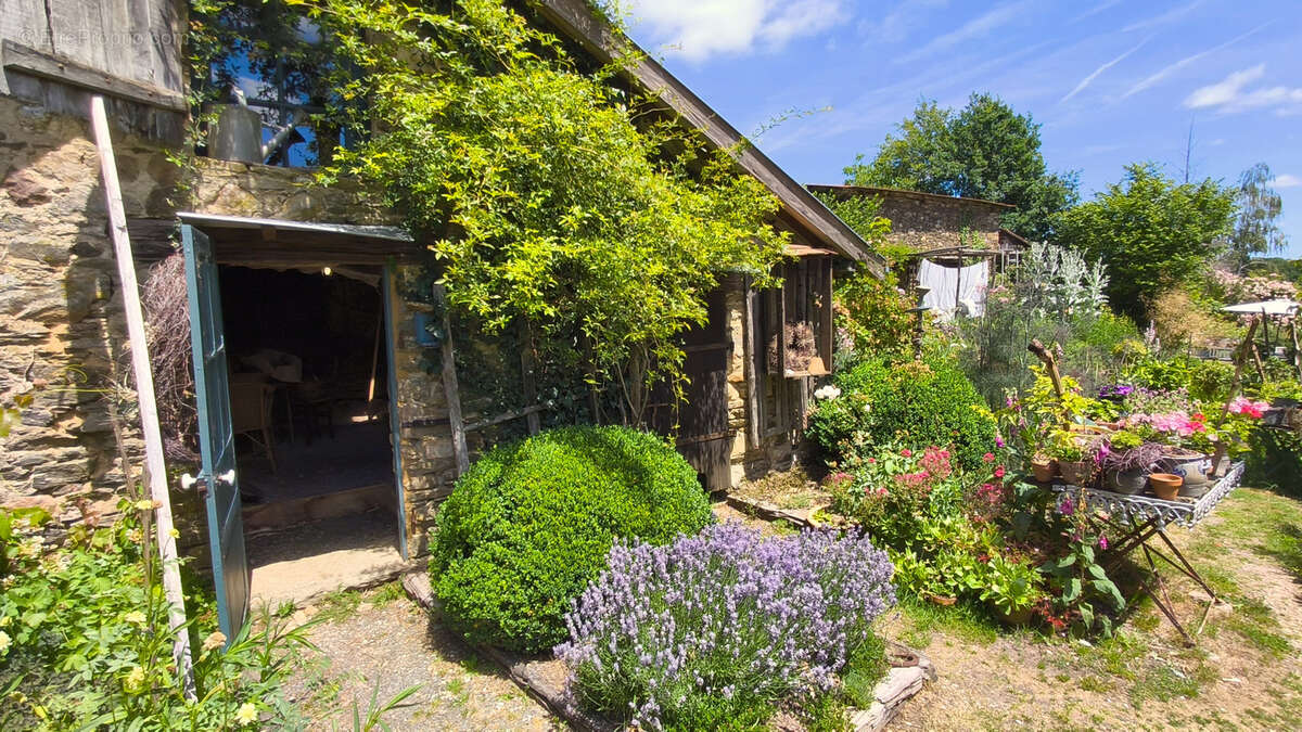 Maison d'artiste avec jardin botanique, source - Terrain 1,6 hectare - photo 25