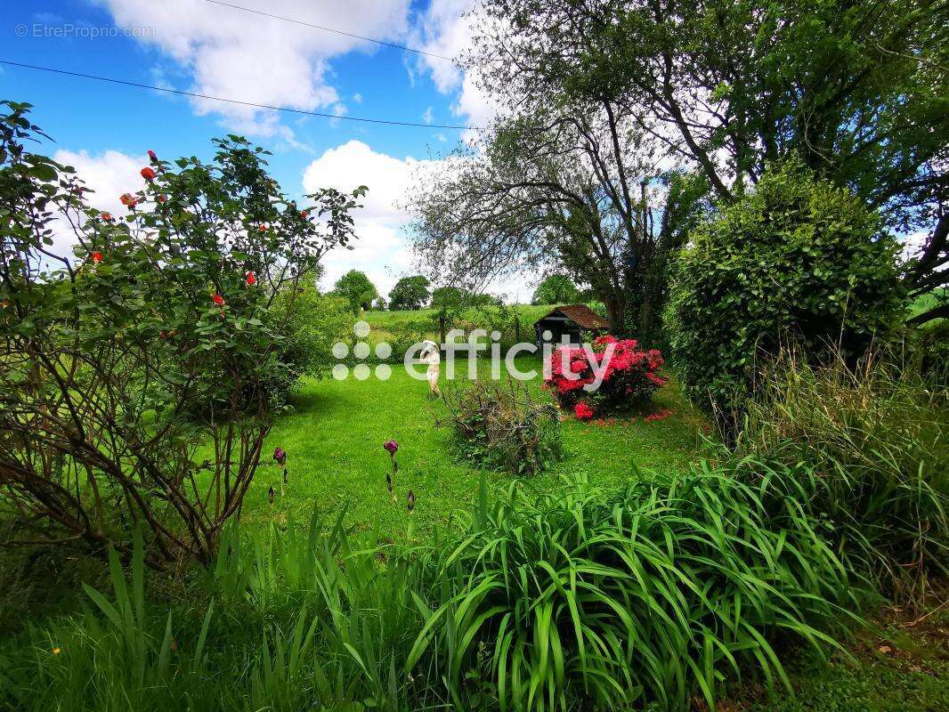 Maison 112 m² à Landelles-Et-Coupigny  - photo 39