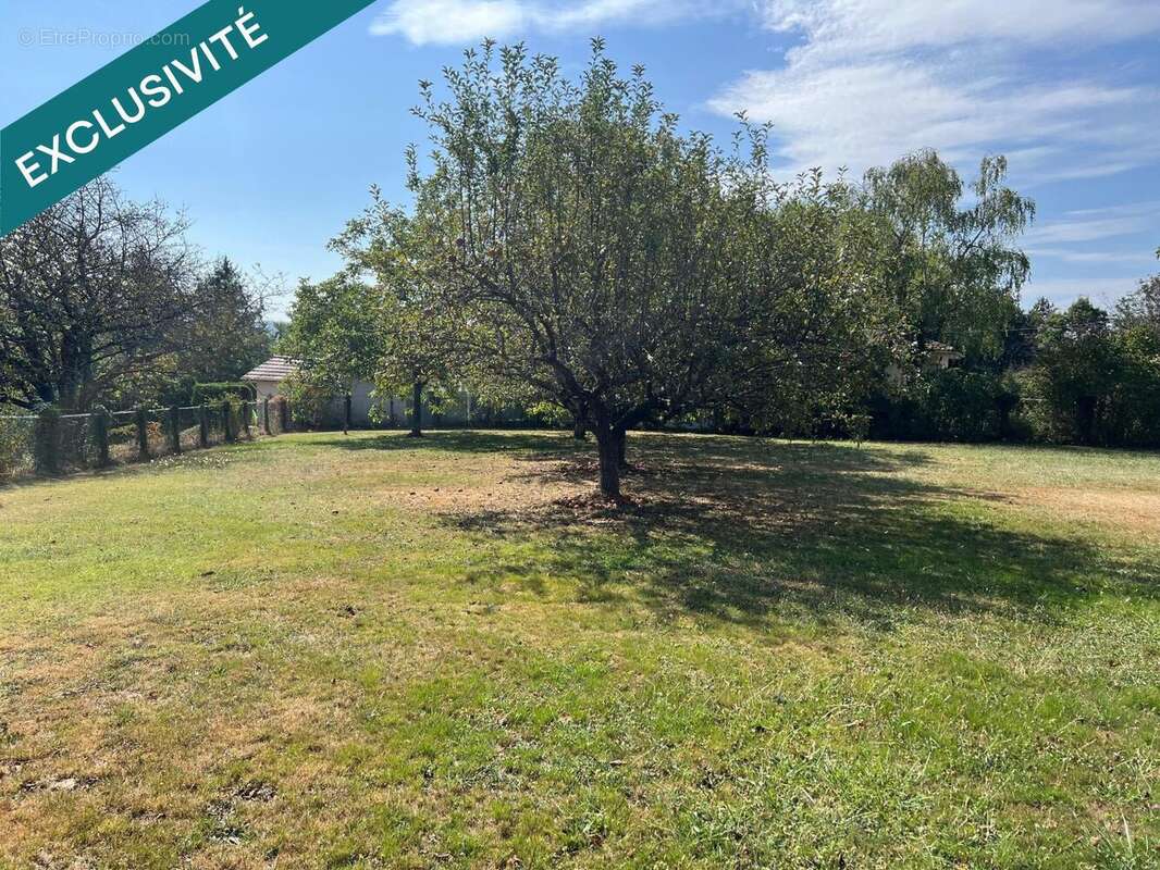 Photo 2 - Terrain à MOIDIEU-DETOURBE