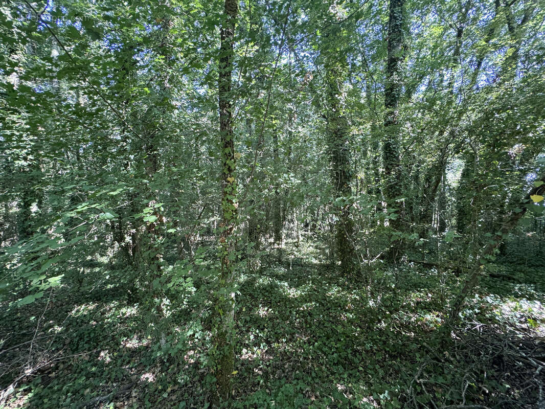 Charmante maison avec beau potentiel - photo 5