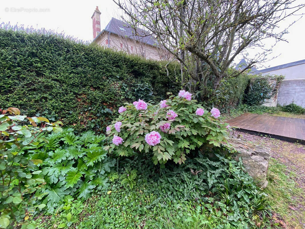 Maison à LUC-SUR-MER