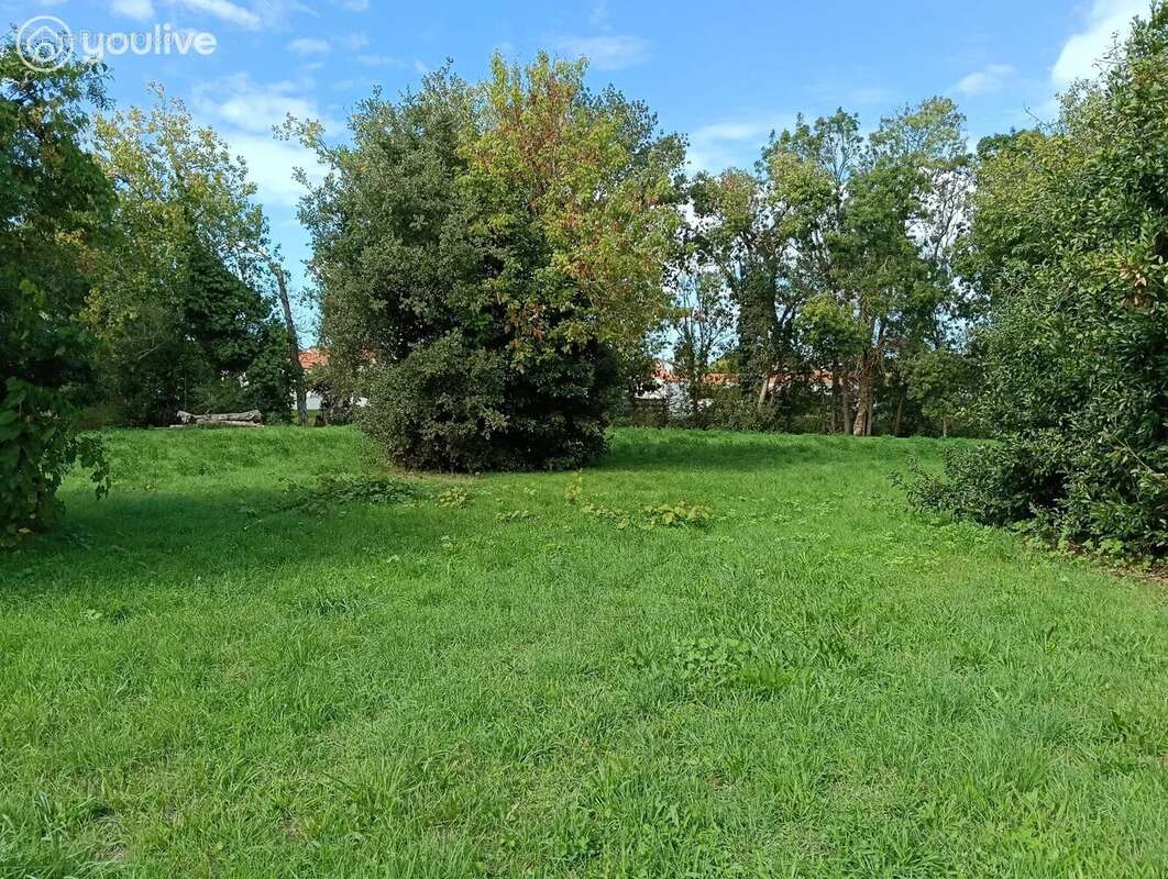 Terrain à LA BARRE-DE-MONTS