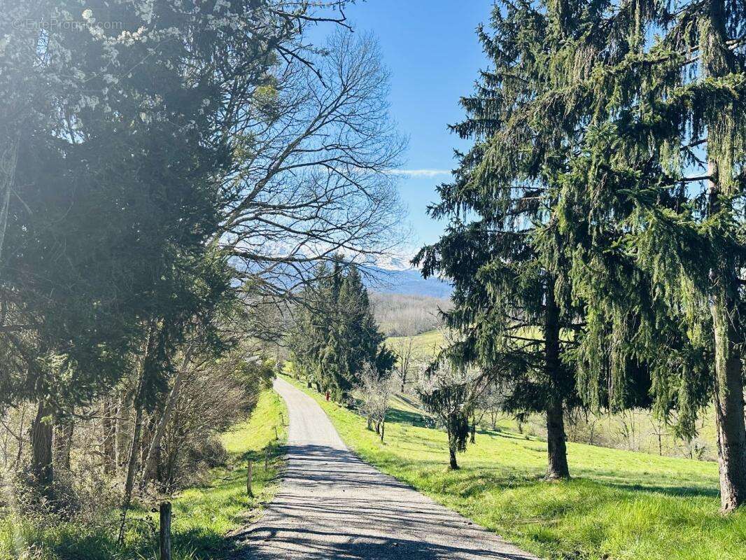 Maison à TAURIGNAN-VIEUX