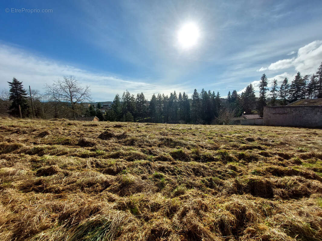 Terrain à MONISTROL-SUR-LOIRE