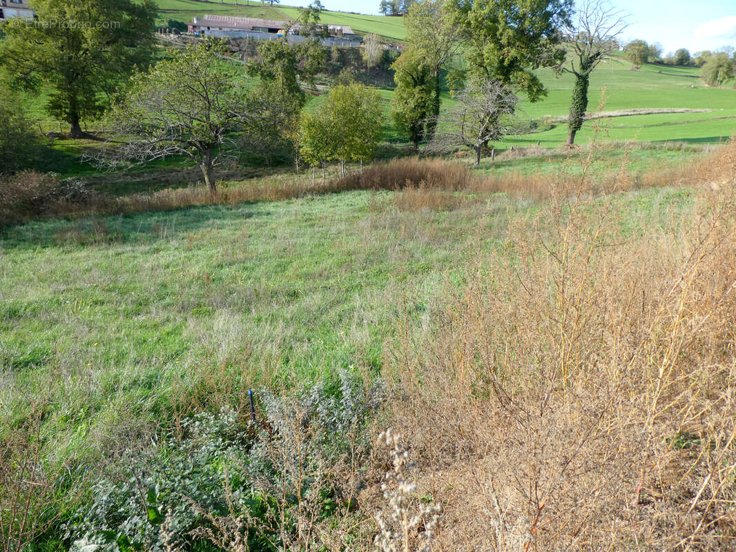 Terrain à SAINT-LAURENT-DE-CHAMOUSSET