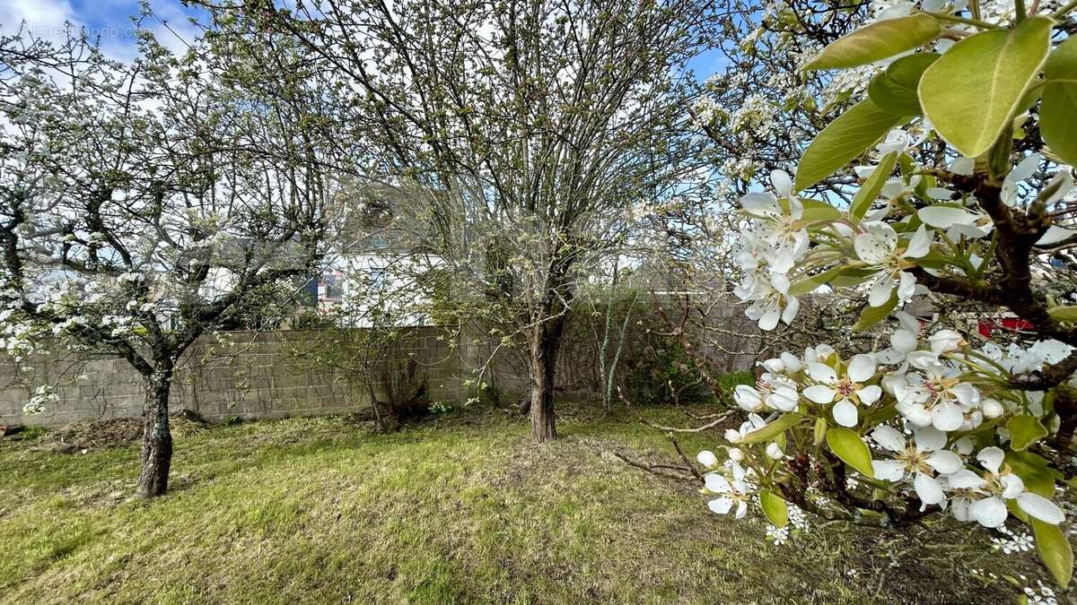 IMG_0156 - Maison à TOURLAVILLE