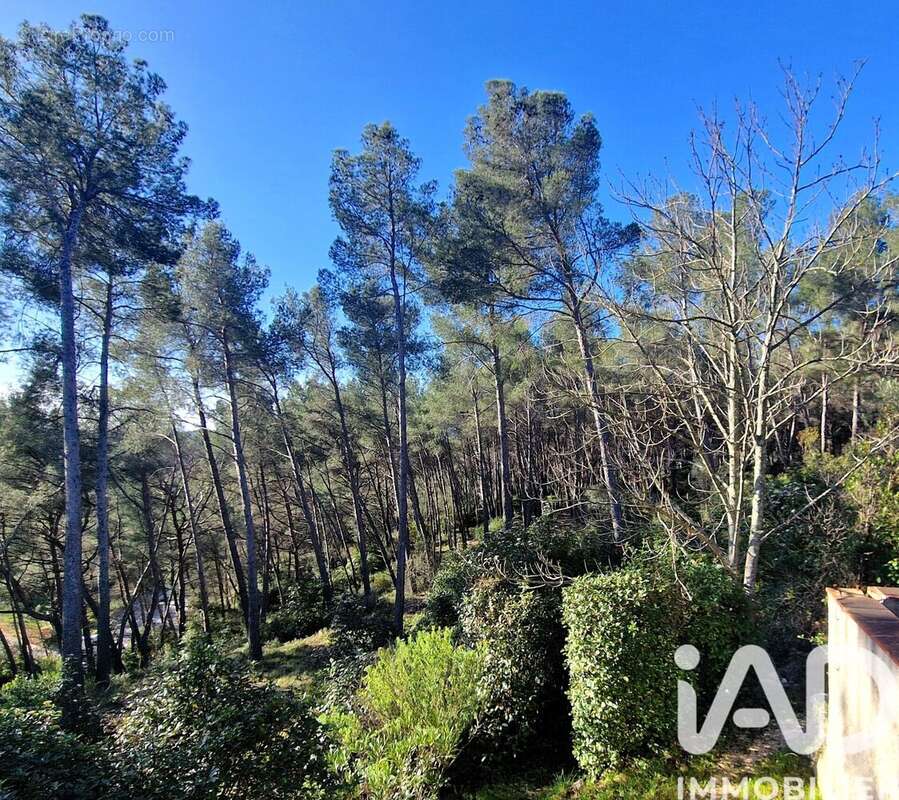 Photo 5 - Maison à SANARY-SUR-MER