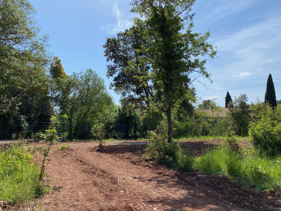Terrain à SOLLIES-PONT