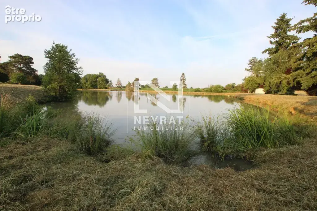 Etang avec sources - photo 9