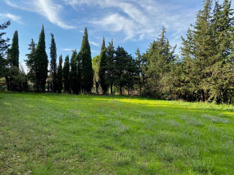 Terrain 802 m² à Grillon  - photo 2