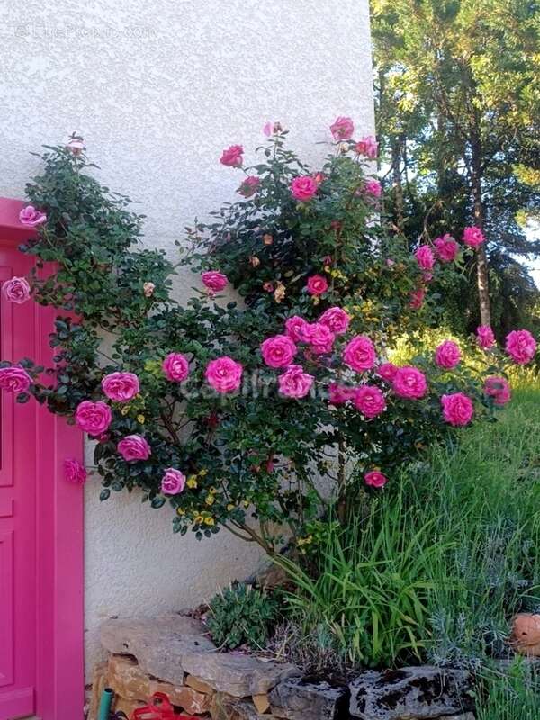 Maison à vendre 6 pièces  (39) - photo 35